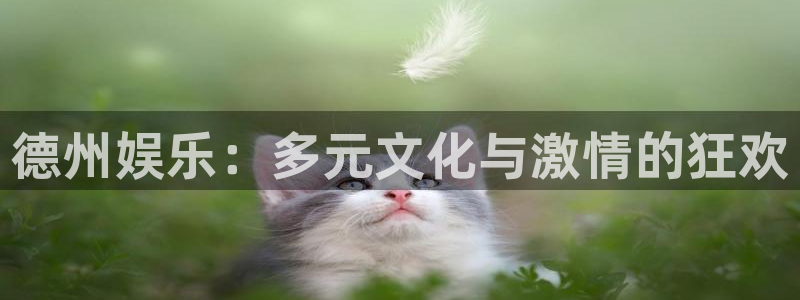 超凡国际下载app