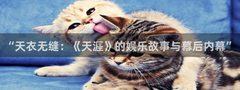 超凡国际下载app