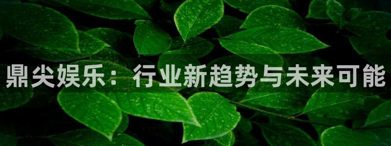 超凡国际下载